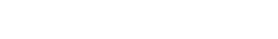 Trusted partner 2